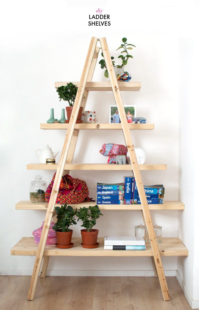 Diy Ladder Shelves Collective Gen