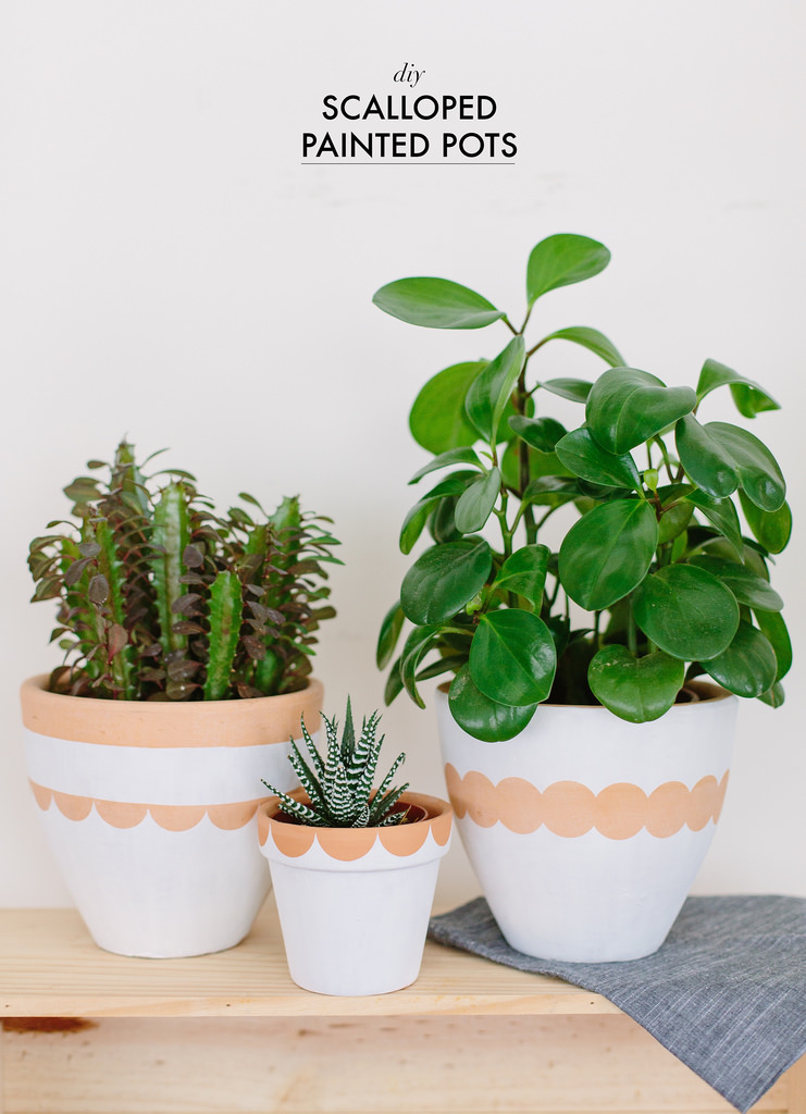 DIY Scalloped Painted pots