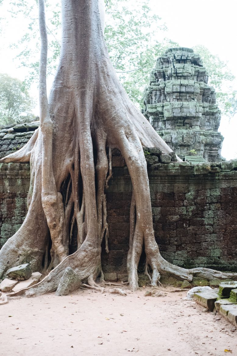 Siem Reap, Cambodia Travel Guide