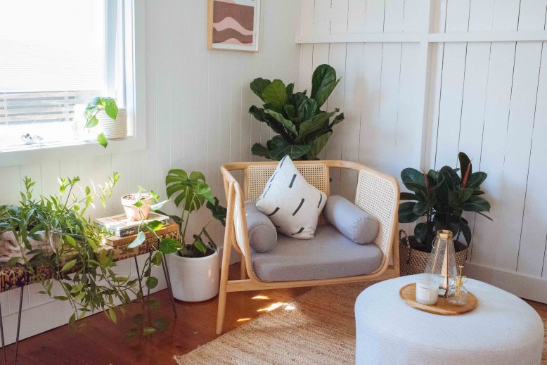 Five Mistakes You're Making With Your Indoor Plants (& How To Fix Them ...