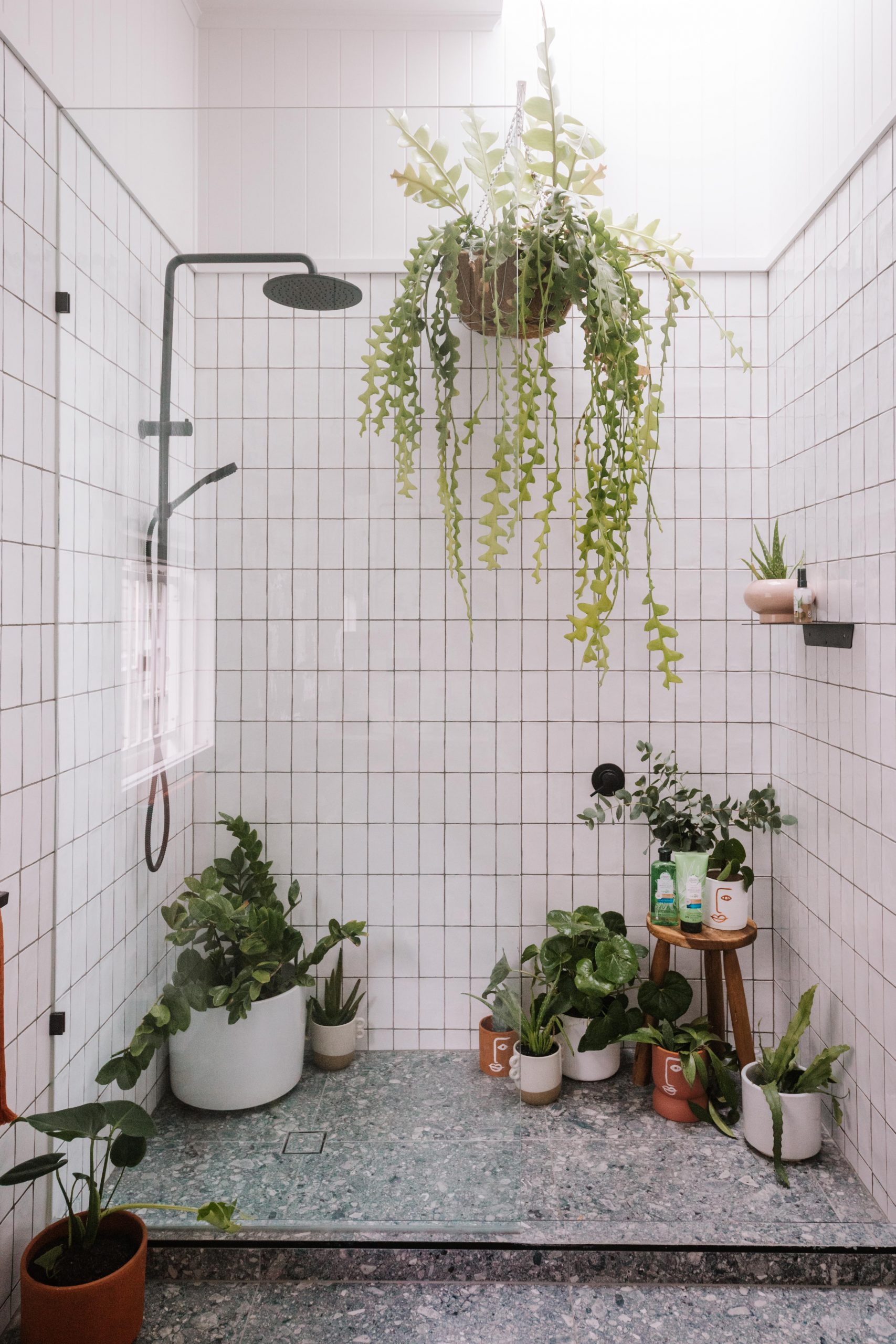 Turn the spare bathroom into an oasis filled with plants!